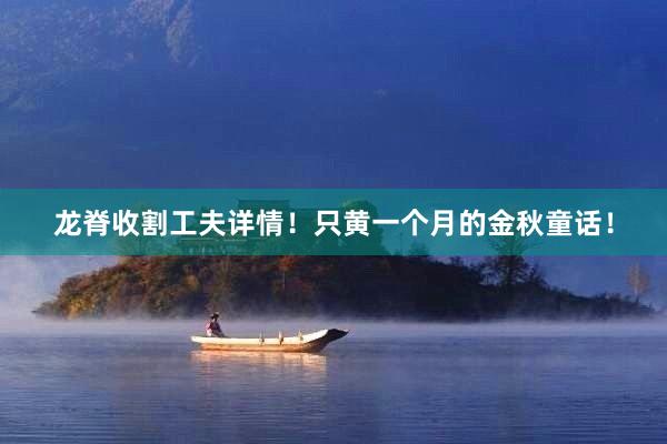 龙脊收割工夫详情!只黄一个月的金秋童话!