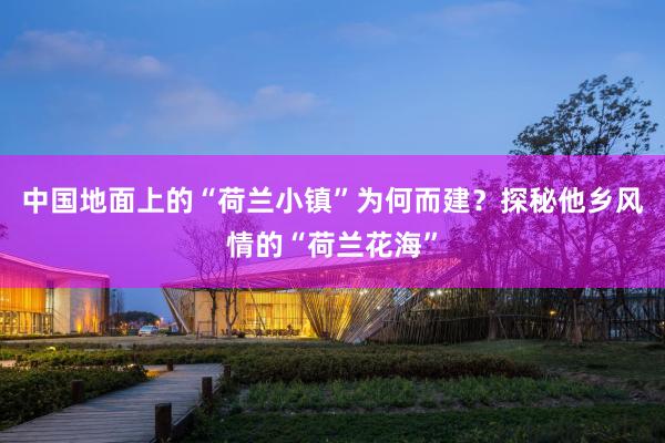 中国地面上的“荷兰小镇”为何而建？探秘他乡风情的“荷兰花海”