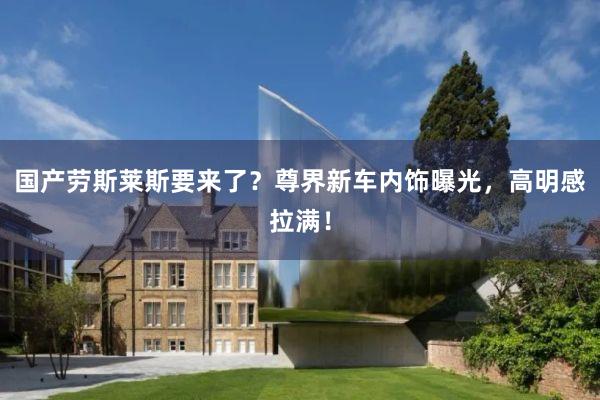 国产劳斯莱斯要来了？尊界新车内饰曝光，高明感拉满！