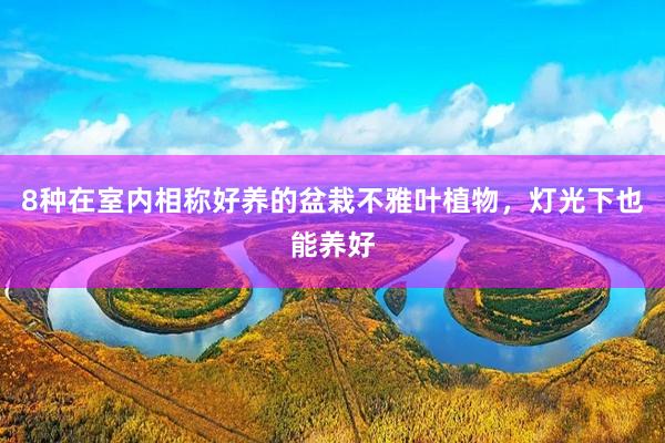 8种在室内相称好养的盆栽不雅叶植物，灯光下也能养好