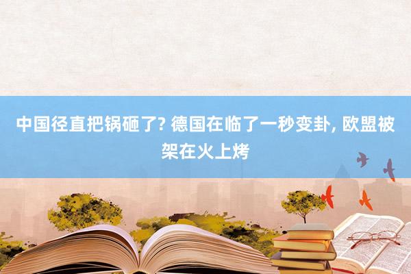 中国径直把锅砸了? 德国在临了一秒变卦, 欧盟被架在火上烤