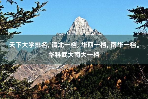 天下大学排名, 清北一档, 华四一档, 南华一档。华科武大南大一档