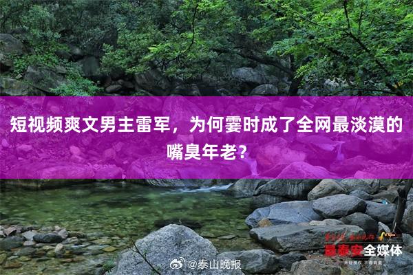 短视频爽文男主雷军，为何霎时成了全网最淡漠的嘴臭年老？