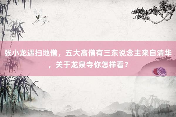 张小龙遇扫地僧，五大高僧有三东说念主来自清华，关于龙泉寺你怎样看？