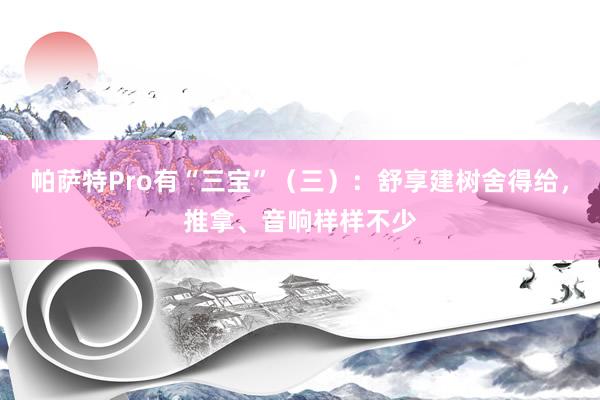 帕萨特Pro有“三宝”（三）：舒享建树舍得给，推拿、音响样样不少