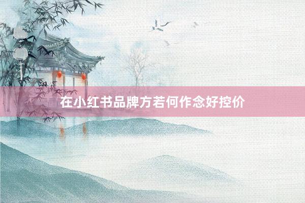 在小红书品牌方若何作念好控价