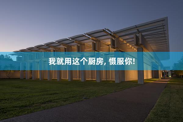 我就用这个厨房, 慑服你!